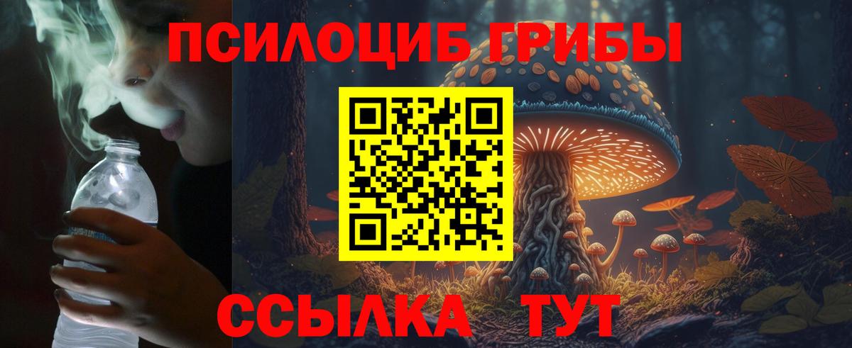 Псилоцибиновые грибы Cubensis Рыбинск